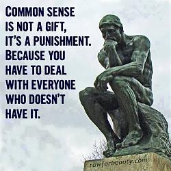 Click image for larger version. 

Name:	commonsense.jpg 
Views:	186 
Size:	53.5 KB 
ID:	4150