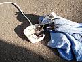 Click image for larger version

Name:	burnt extension plug.jpg
Views:	473
Size:	80.4 KB
ID:	261052