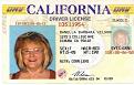 Click image for larger version

Name:	IDENTIFICATION..jpg
Views:	328
Size:	49.4 KB
ID:	261164