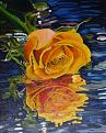Click image for larger version

Name:	7_rosereflection.jpg
Views:	344
Size:	54.0 KB
ID:	262912