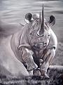 Click image for larger version

Name:	4_rhynosmaill.jpg
Views:	309
Size:	41.2 KB
ID:	262913