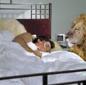 Click image for larger version

Name:	05.jpg
Views:	902
Size:	32.3 KB
ID:	268326
