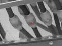 Click image for larger version

Name:	thermal cables.jpg
Views:	337
Size:	7.7 KB
ID:	268573