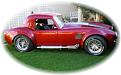Click image for larger version

Name:	cobra11.jpg
Views:	411
Size:	19.5 KB
ID:	268652