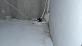 Click image for larger version

Name:	DSC_0012.jpg
Views:	491
Size:	20.4 KB
ID:	269442