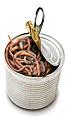 Click image for larger version

Name:	Can of worms.jpg
Views:	326
Size:	7.1 KB
ID:	269487